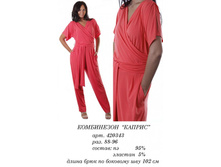 420343 (1150-00).jpg