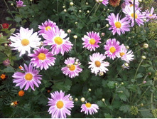 ���������� ������� �������