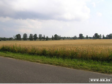 ��� �� ������� �������� "����"