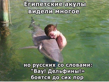 4 ��� ��������.jpg