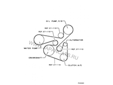 ����� �����.png