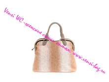 G87797-2 Apricot 1250���