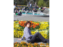 ������ ������