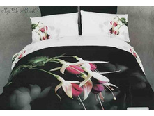 ������� ����