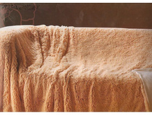 �������� ���� ������� (���.)