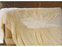 �������� ���� ������� (�����)