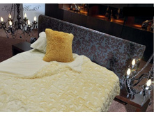 �������� ���� �������(������)