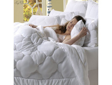 ������ ����*����� (195�215), ���� 2500+%