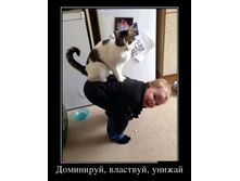 1365137542_00.jpg