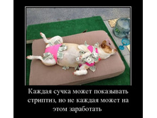 1364968127_demotivd.jpg