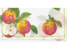 № 20    ����������� 25�25   10 ��.     4 ���