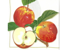 №127  30�30    10 ��.    8 ���