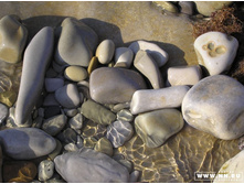 ������ ��������