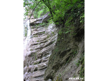 ��� �����������...