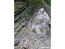 ������...