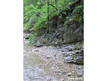 ������ �������...