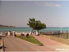 ��� ���� �����