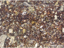 �������������...)