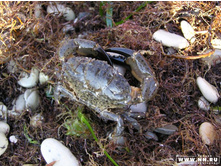 �������� ������