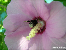 ��� ������ �����!!!)))