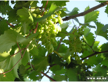 ��̣��� ����, �� ��������...))