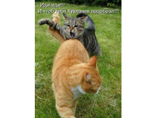 ���, ��� ... ���� ���� �����ޣ� ��������