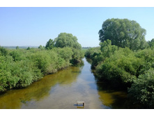 DSCF1256 - �����.JPG