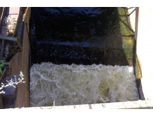 DSCF1258 - �����.JPG