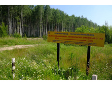 DSCF1259 - �����.JPG