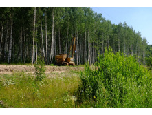 DSCF1261 - �����.JPG