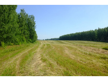 DSCF1263 - �����.JPG