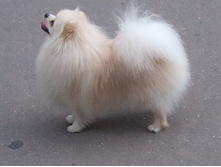 2013-06-23 11.14.28.jpg