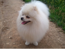 2013-06-23 11.23.40.jpg