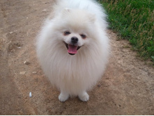 2013-06-23 11.23.47.jpg