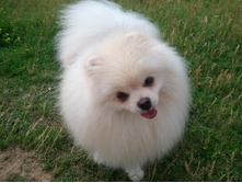 2013-06-23 11.29.58.jpg