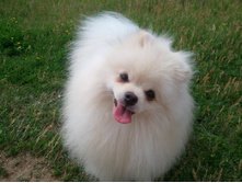 2013-06-23 11.30.01.jpg