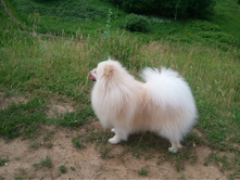 2013-06-23 11.30.30.jpg