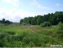 ������ ������� � �������� - 2