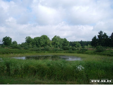 ������ ������� � �������� - 6