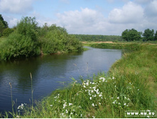 �������� ������ - 5