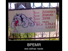 1297346625_4.jpg
