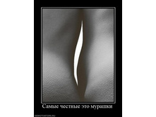 1298737515_79200_samyie-chestnyie-eto-murashki.jpg