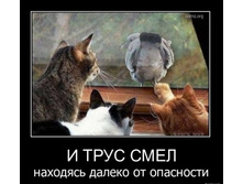 1297346658_31.jpg