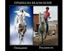 3_SIA-GWVtY.jpg
