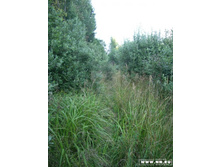 \"��������\"