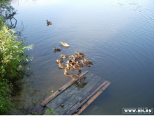 ������� ����������