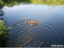 ������� ����������