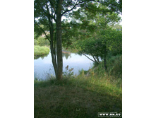 ������ ������� � �������� �� ������ ������������