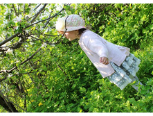 ����� ������� � 3 ���� � �������