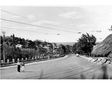 ��������� �����-01 1951�.jpg